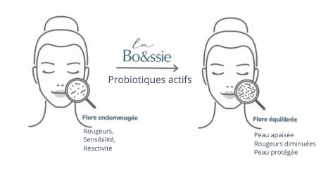 flore cutanée peaux sensibles